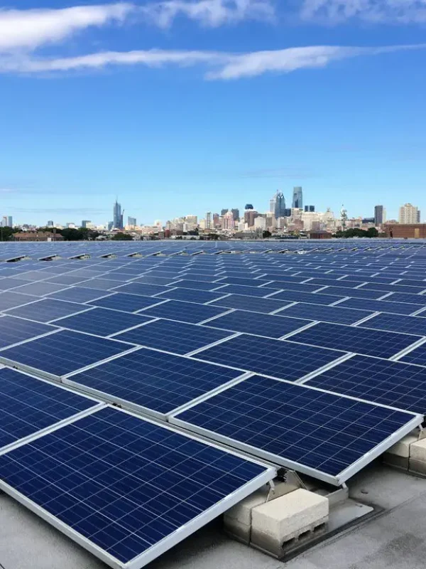 metropolis-farms-main-1507308590466-1507308593316